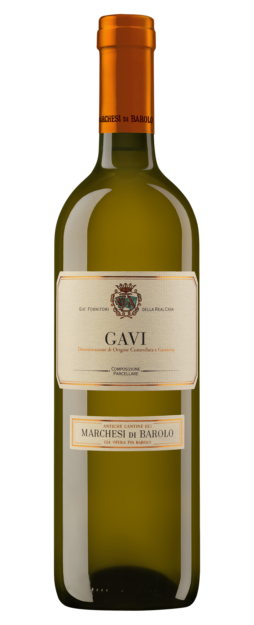 gavi