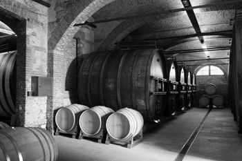 Marchesi di Barolo