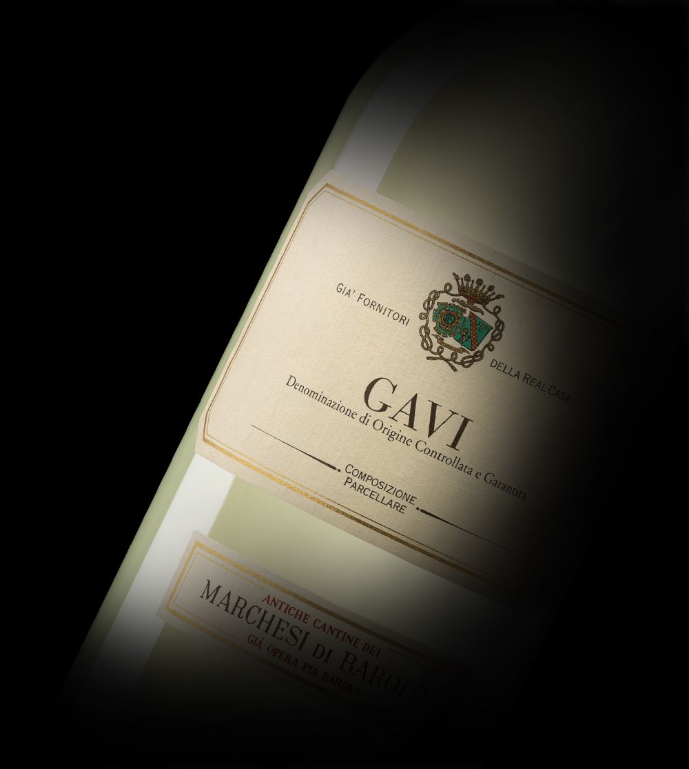 GAVI