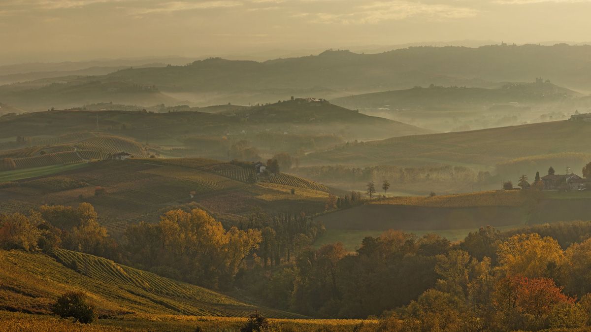 Marchesi di Barolo