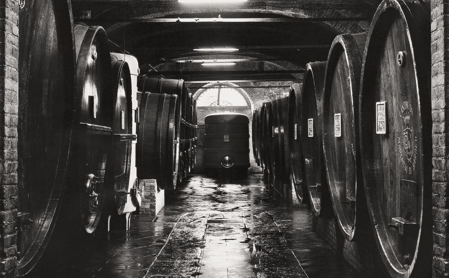 Marchesi di Barolo