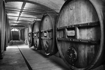 Marchesi di Barolo