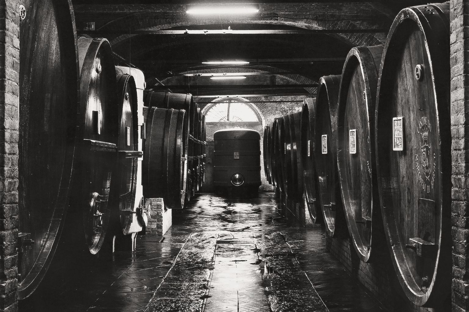 Marchesi di Barolo